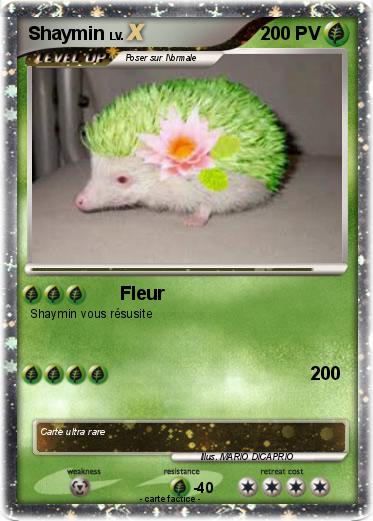 Pokemon Shaymin