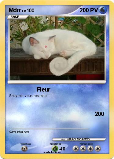 Pokemon Mdrr