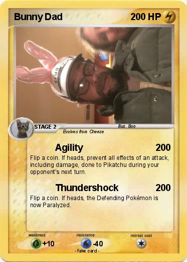 Pokemon Bunny Dad
