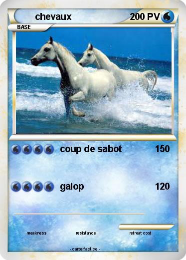 Pokemon chevaux