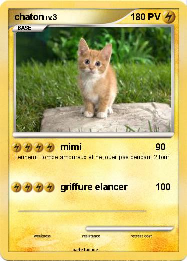 Pokemon chaton