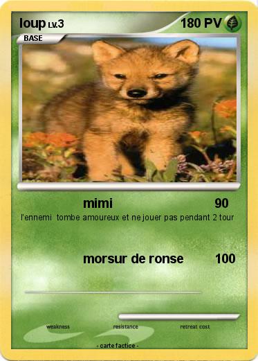 Pokemon loup