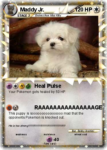 Pokemon Maddy Jr.