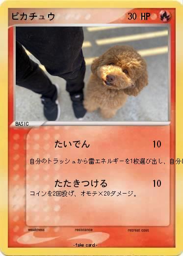 Pokemon ピカチュウ