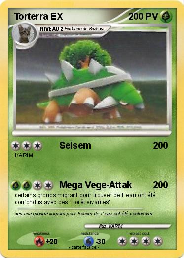 Pokemon Torterra EX