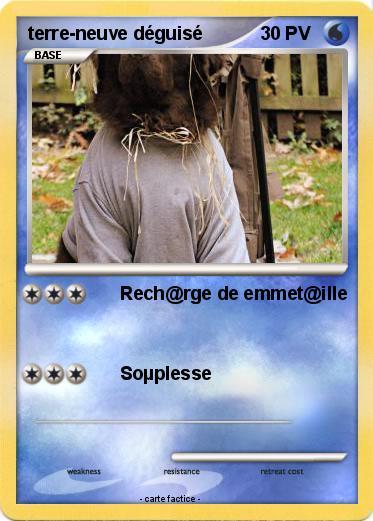Pokemon terre-neuve déguisé