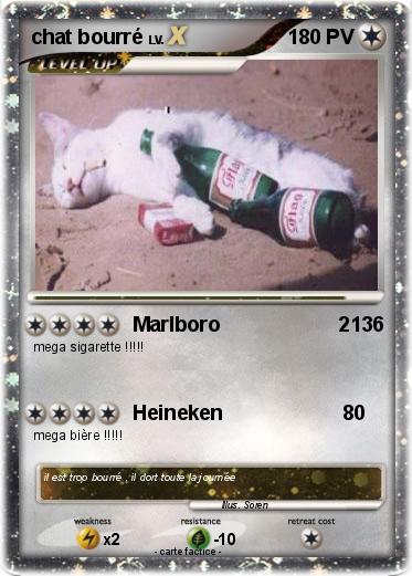 Pokemon chat bourré