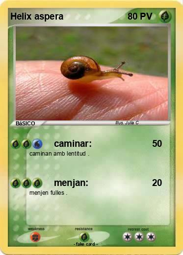 Pokemon Helix aspera