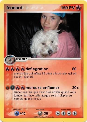 Pokemon feunard