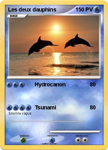 Pokemon Les deux dauphins