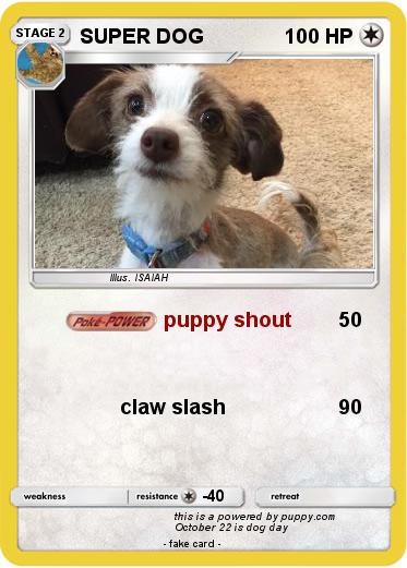 Pokemon SUPER DOG