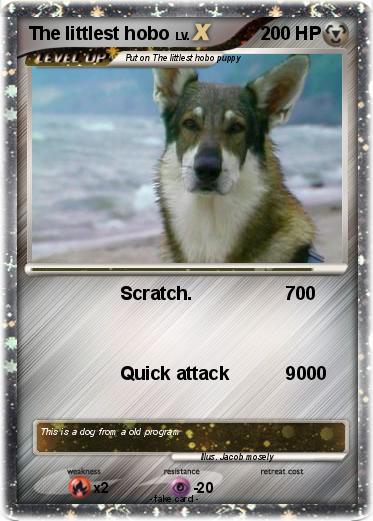 Pokemon The littlest hobo