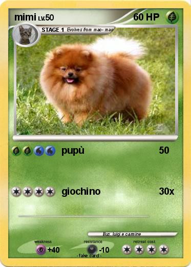 Pokemon mimi