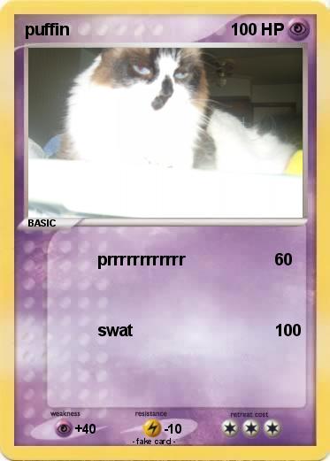 Pokemon puffin
