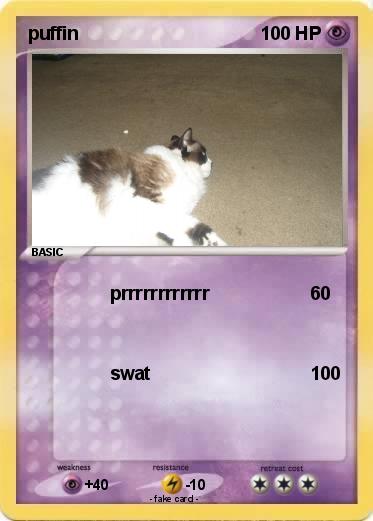 Pokemon puffin
