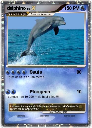 Pokemon delphino