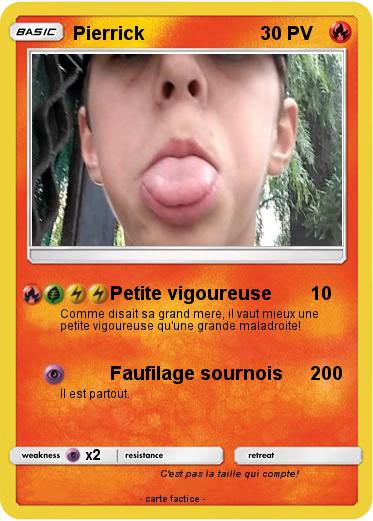 Pokemon Pierrick