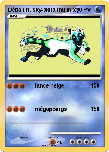 Pokemon Détla ( husky-akita inu mix )