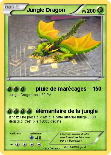 Pokemon Jungle Dragon