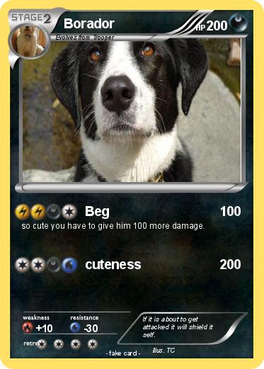 Pokemon Borador
