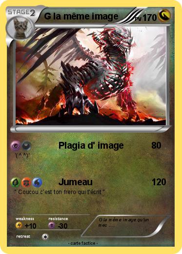 Pokemon G la même image