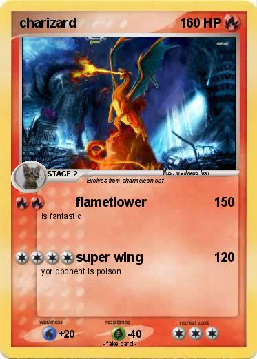 Pokemon charizard