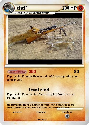 Pokemon cheif