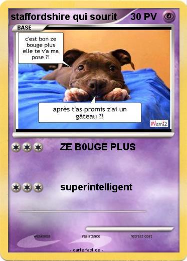 Pokemon staffordshire qui sourit