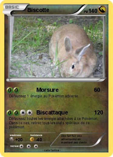 Pokemon Biscotte