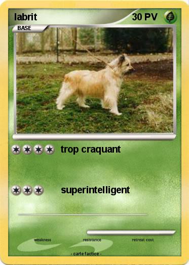 Pokemon labrit