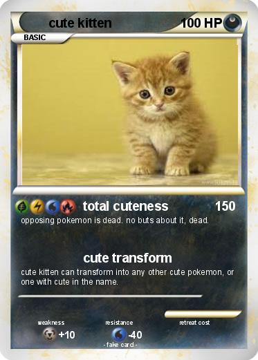 Pokemon cute kitten