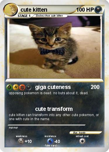 Pokemon cute kitten