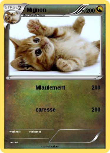 Pokemon Mignon