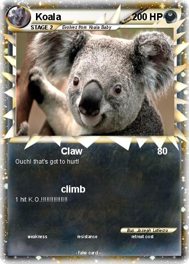 Pokemon Koala