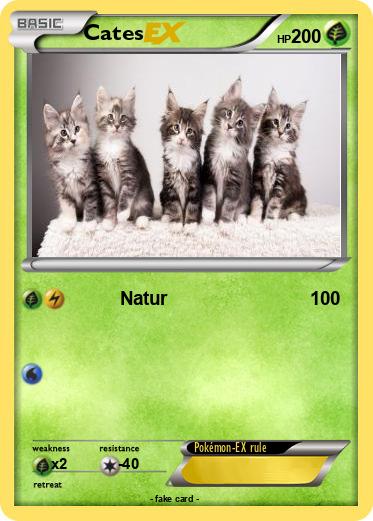 Pokemon Cates