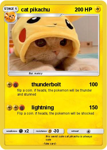 Pokemon cat pikachu