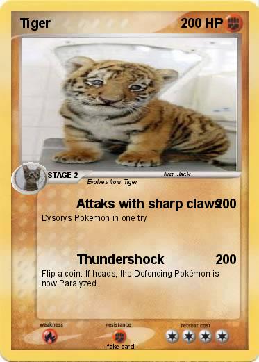 Pokemon Tiger