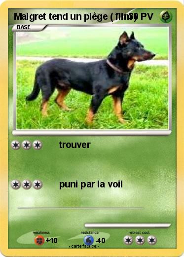 Pokemon Maigret tend un piège ( film )