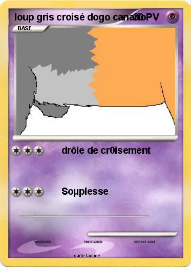 Pokemon loup gris croisé dogo canario