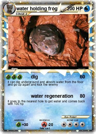 Pokemon water holding frog