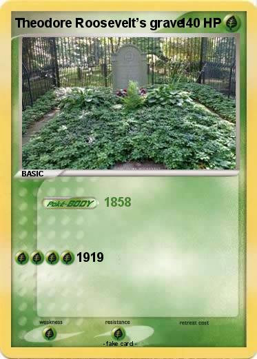 Pokemon Theodore Roosevelt’s grave