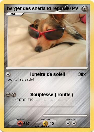 Pokemon berger des shetland reposé