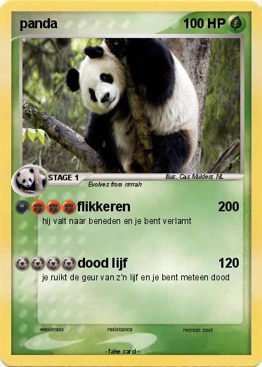 Pokemon panda