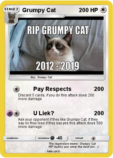 Pokemon Grumpy Cat
