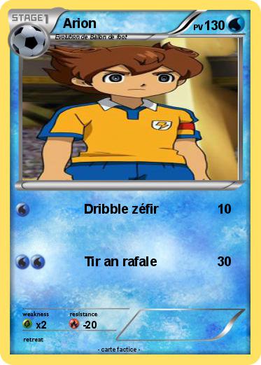 Pokemon Arion