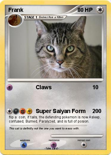 Pokemon Frank