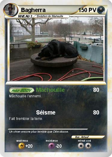 Pokemon Bagherra