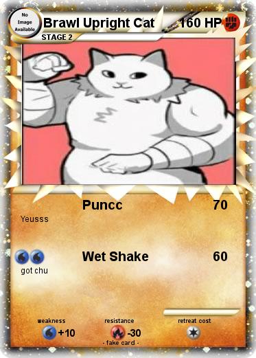 Pokemon Brawl Upright Cat