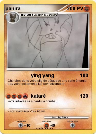 Pokemon panira