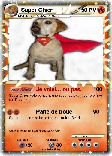 Pokemon Super Chien
